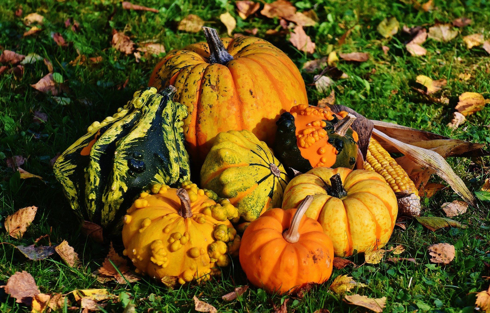 Herbstlich Dekoriert